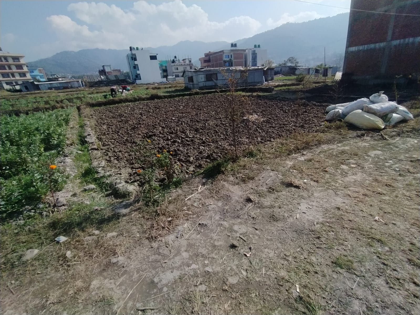 Picture of Mahalaxmi Municipality, Bagmati